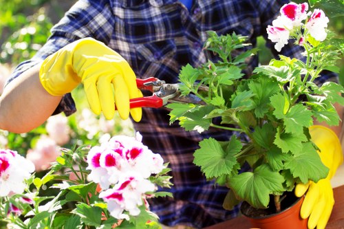 Gardeners Kilburn improving a small London garden