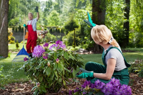 Garden hedge cutting in Kilburn for improved privacy and curb appeal