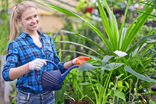 Kilburn gardening team inspecting a site before work