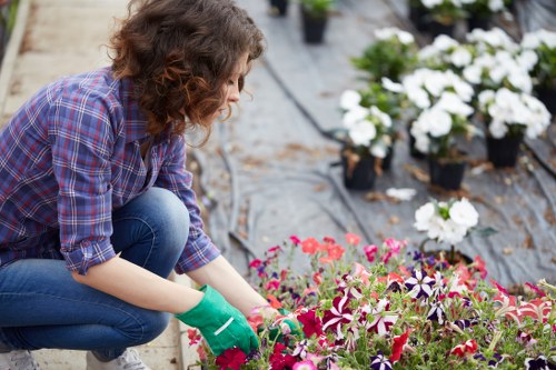 Landscape gardening design with paving and planting in Kilburn