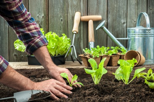 Modern landscape gardening features for a Kilburn backyard
