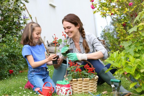 Garden maintenance in Kilburn with lawn and border care