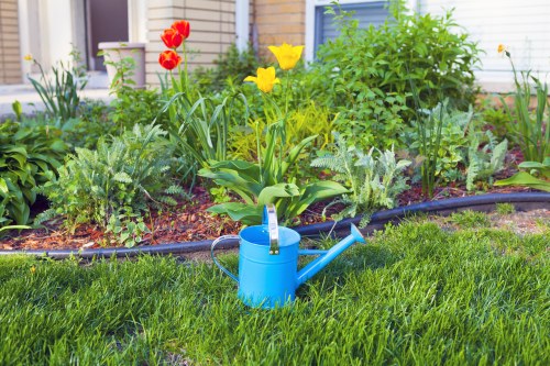 Local gardeners in Kilburn introducing professional garden care