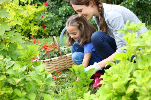 Seasonal garden upkeep with plants and lawn in Kilburn