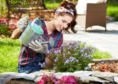 Professional mowing and edging for Kilburn lawns