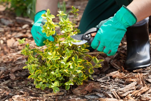 Reusable garden items ready for charity donation