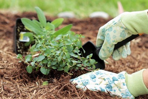 Professional garden waste removal and tidy outdoor space in Kilburn