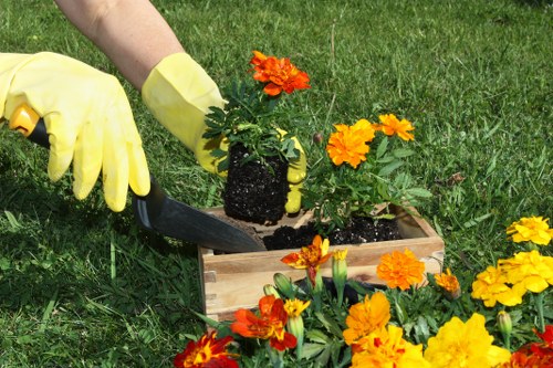 Well-kept Kilburn outdoor space improved by gardening services