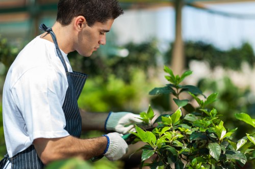 Experienced Kilburn gardening team working on seasonal maintenance