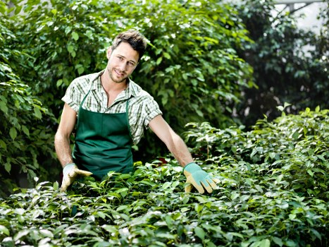 Transparent pricing for garden clearance near busy Kilburn streets