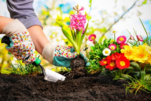 Professional garden care service in Kilburn for everyday living spaces