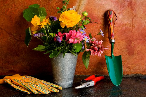 Trained gardener using safety equipment during maintenance