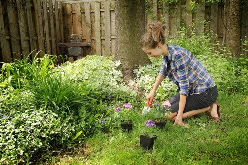 Review of gardening service issue details