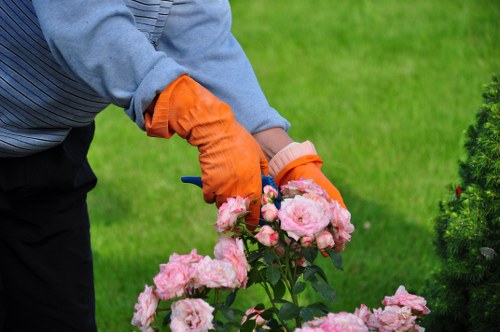 Local Kilburn gardeners selecting shade-tolerant plants