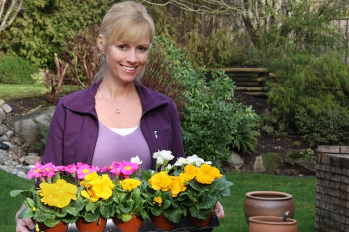Low-carbon van used for sustainable gardening transport