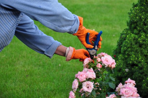Example garden clearance job in a Kilburn courtyard property