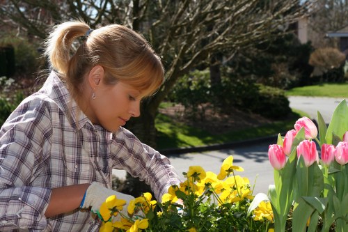 Image showing keyboard-friendly navigation for Kilburn gardening pages