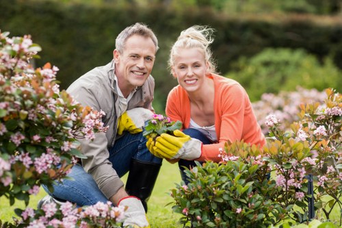 Healthy turf after lawn care in Kilburn