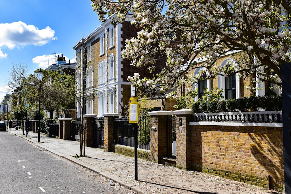 Kilburn High Road garden maintenance guide for homeowners